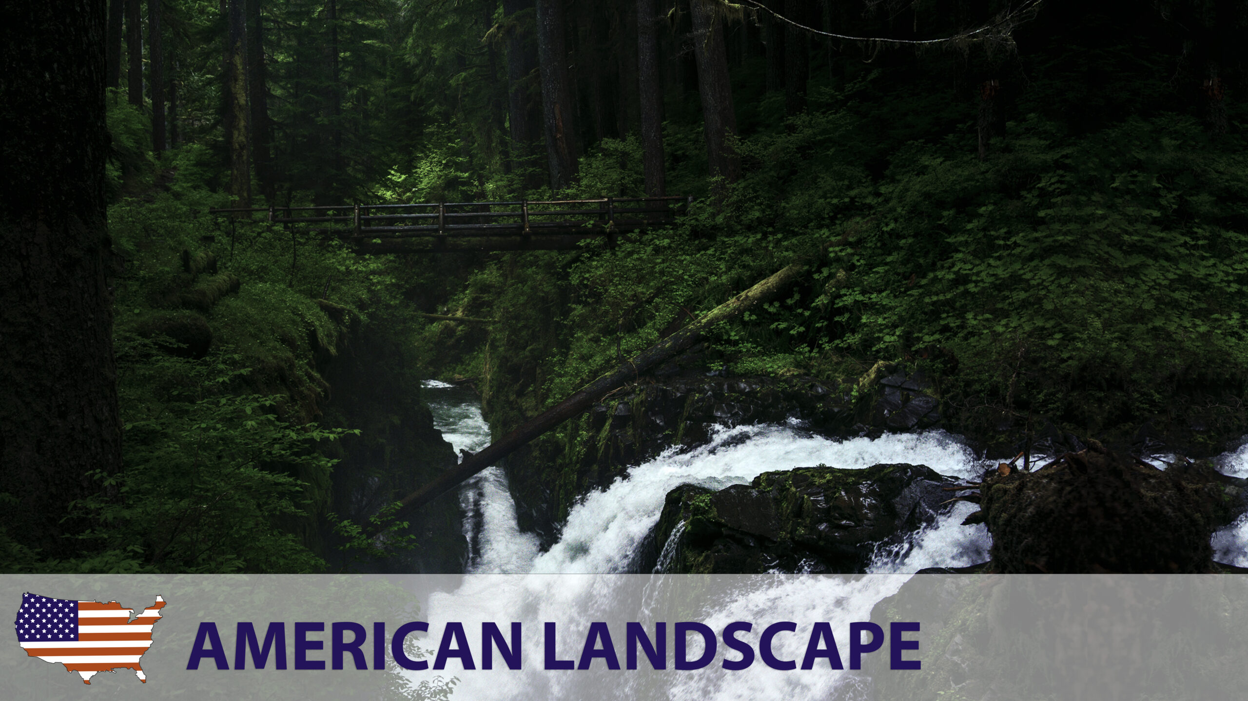 Featured image for “American Landscape”